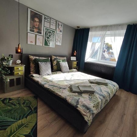 Dian Feelhome Banska Bela Luaran gambar